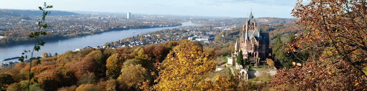 Gewerbe mieten in Bonn